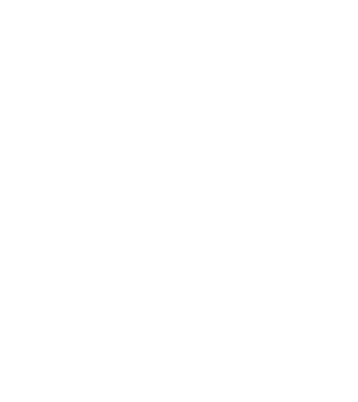 Dog and Cat