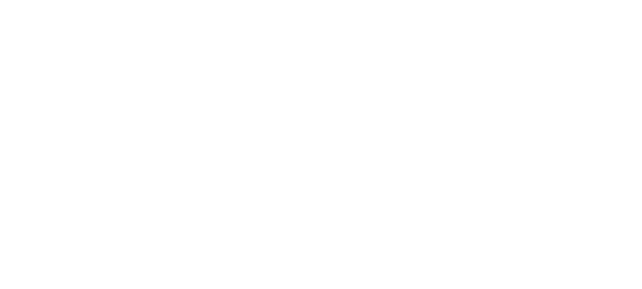 El Rápido Pits - Carritos eléctricos